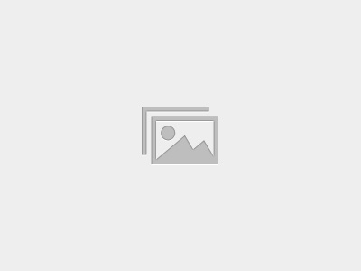 RBT Task List F : Professional Conduct & Scope of Practice